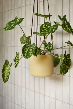 Hængekrukker Og Ophæng^PLANT Bloom hængekrukke, sand ø21 cm