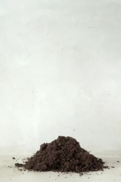 Jord Og Omplantning|Bonsai^PLANT Bonsai jord