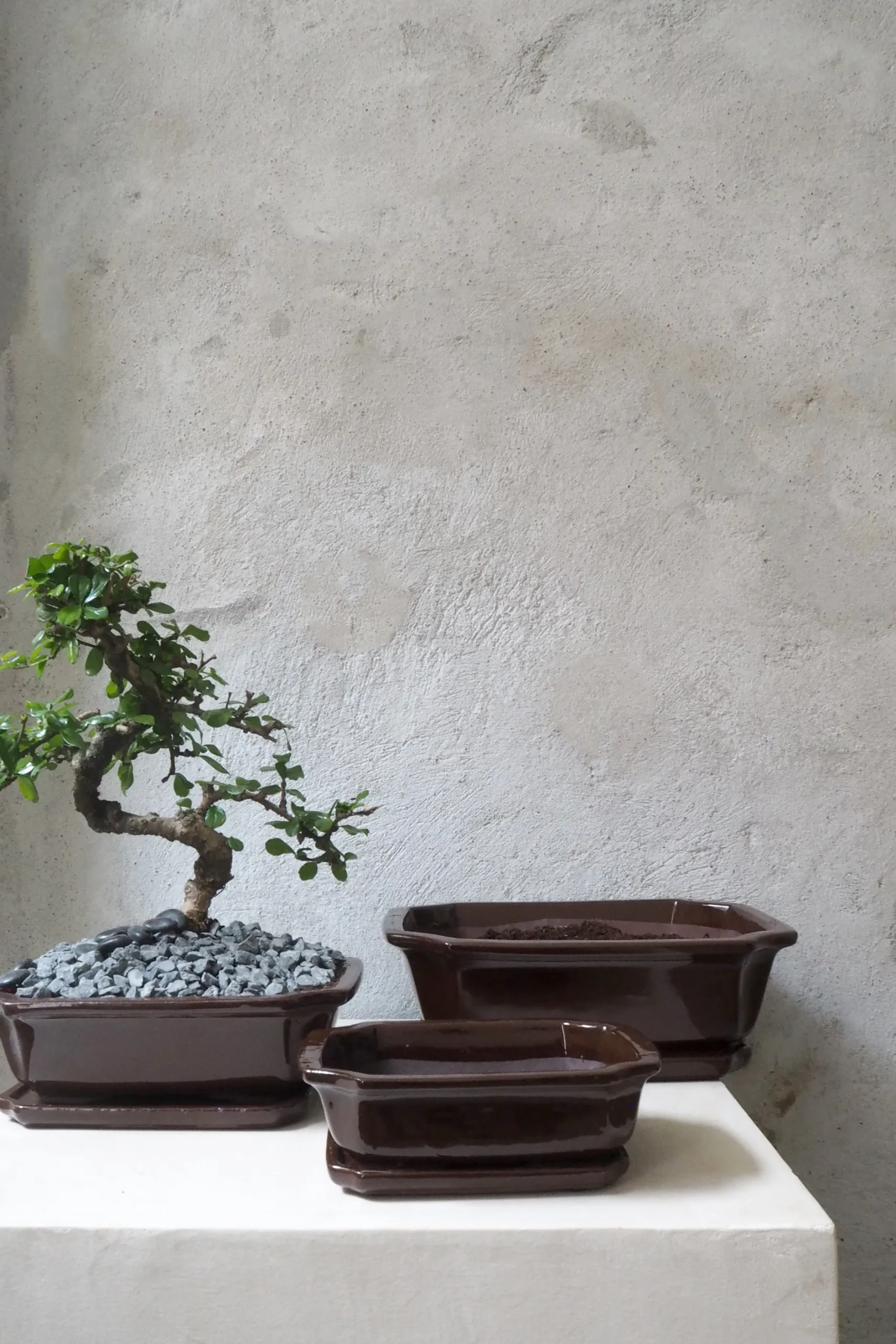 Mellem|Lille^PLANT Bonsai krukke
