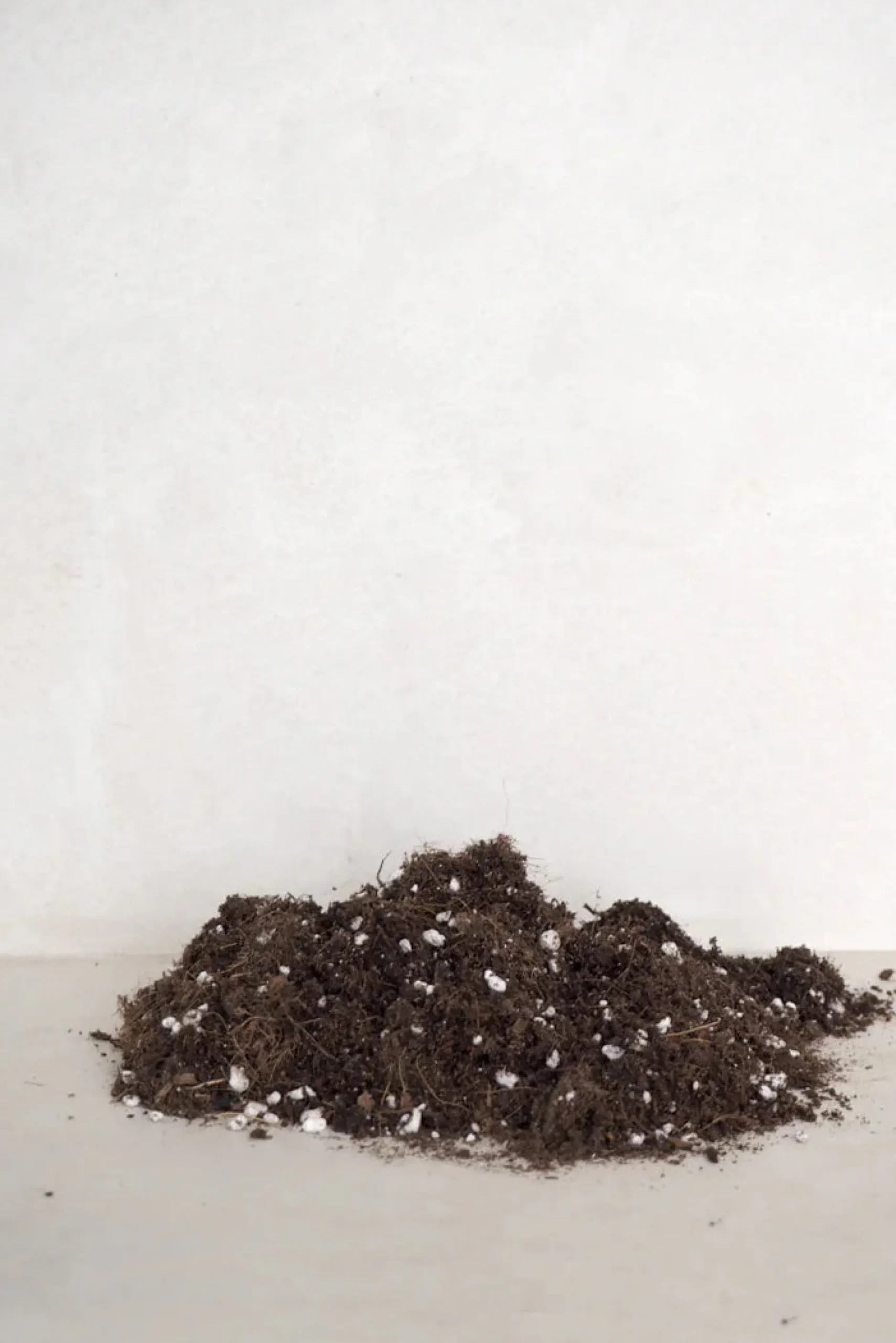 Plantepleje-Kits|Plantepleje-Kits^PLANT Bundle : Essential epleje
