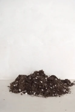 Plantepleje-Kits|Plantepleje-Kits^PLANT Bundle : Pro epleje