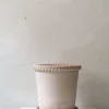 Terrakotta-Krukker|Stor^PLANT Emilia krukke, raw rosa