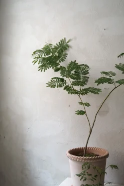 Terrakotta-Krukker|Stor^PLANT Emilia krukke, raw rosa