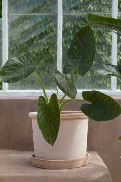 Terrakotta-Krukker|Stor^PLANT Galestro gulvkrukke, raw rosa
