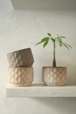 Frø, Spiring Og Altanliv|Glaserede Krukker^PLANT Gro krukke