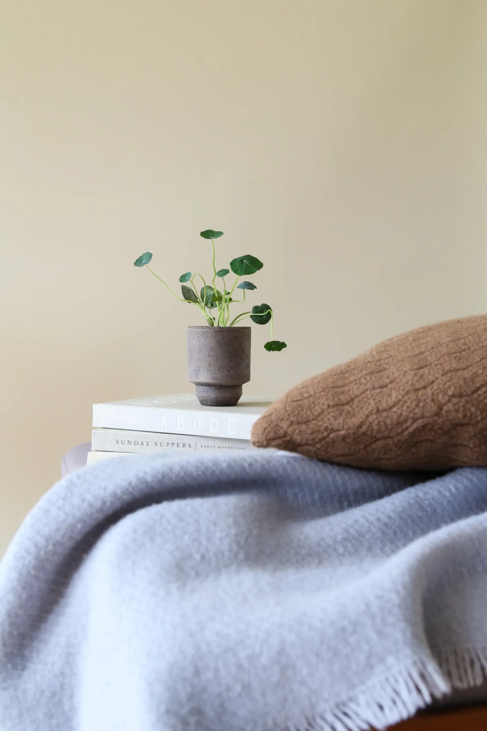 Terrakotta-Krukker|Hoff Krukke Serien^PLANT Hoff krukke, raw grey