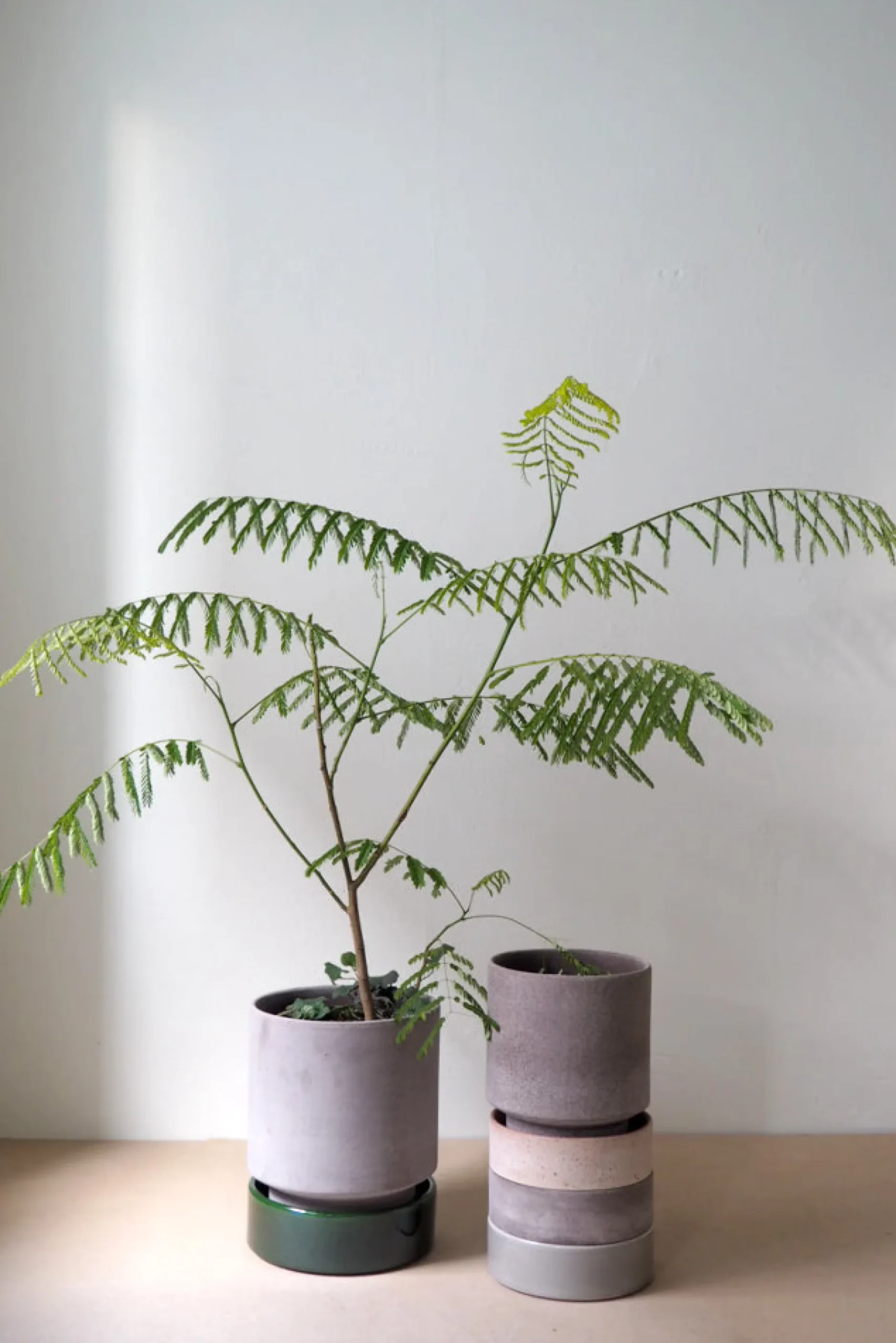 Terrakotta-Krukker|Hoff Krukke Serien^PLANT Hoff krukke, raw grey