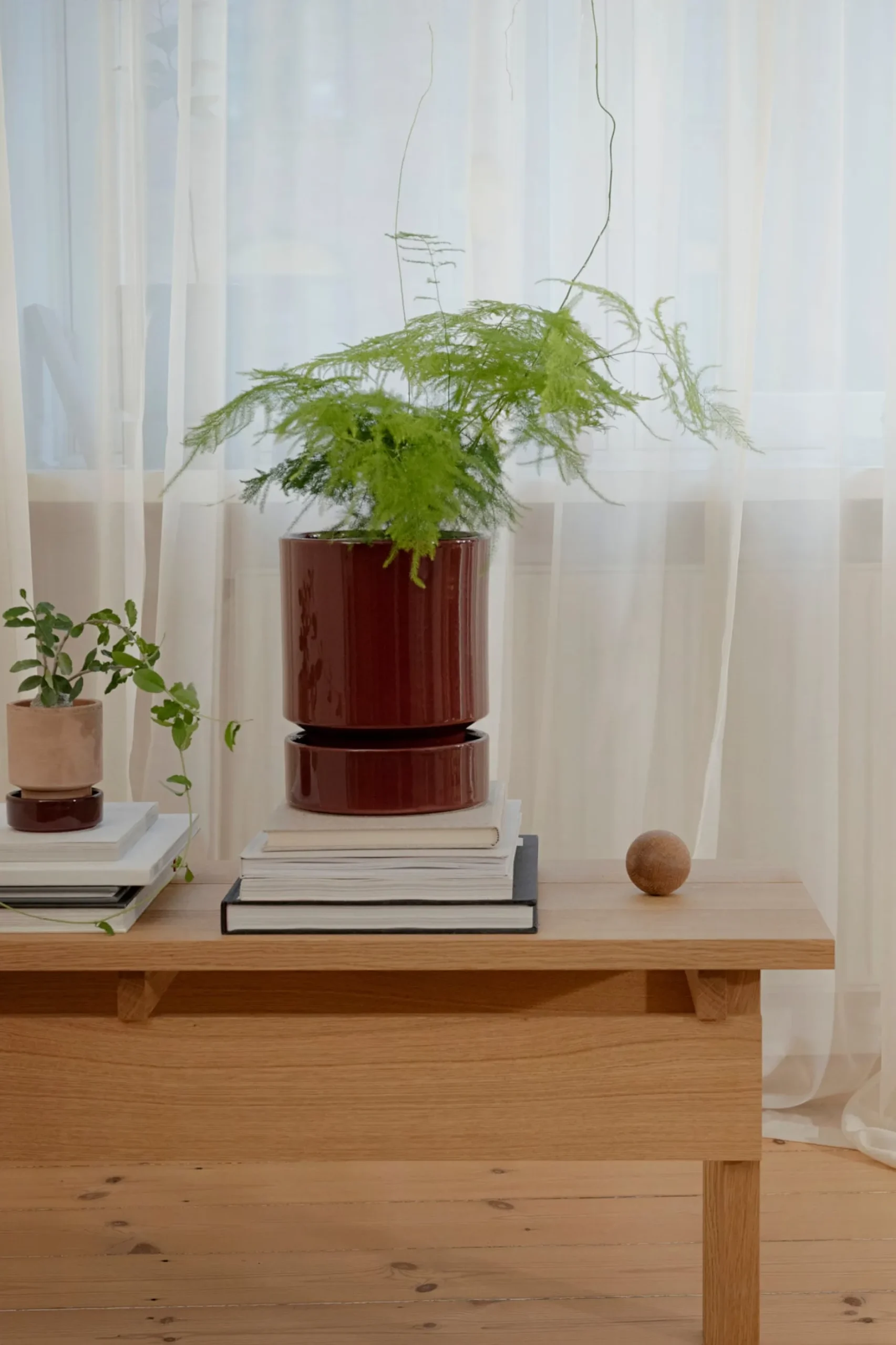 Terrakotta-Krukker|Hoff Krukke Serien^PLANT Hoff krukke, raw grey + Burgundy underskål