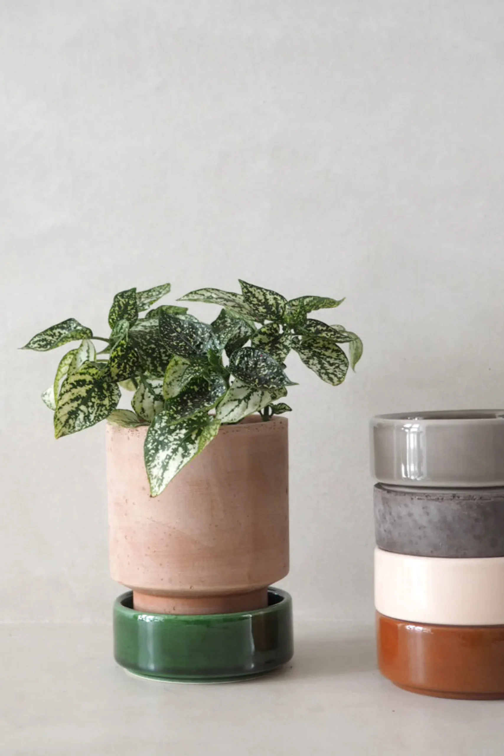 Underskåle|Hoff Krukke Serien^PLANT Hoff krukke, raw rosa + grøn underskål
