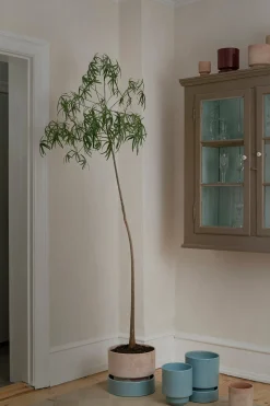 Underskåle|Hoff Krukke Serien^PLANT Hoff krukke, raw rosa + Misty Blue underskål