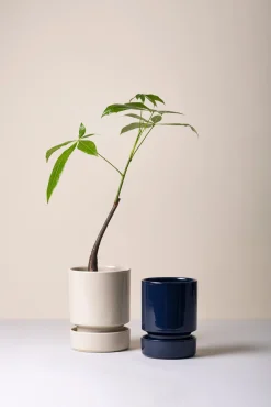 Underskåle|Hoff Krukke Serien^PLANT Hoff underskål, glaseret Sandstone