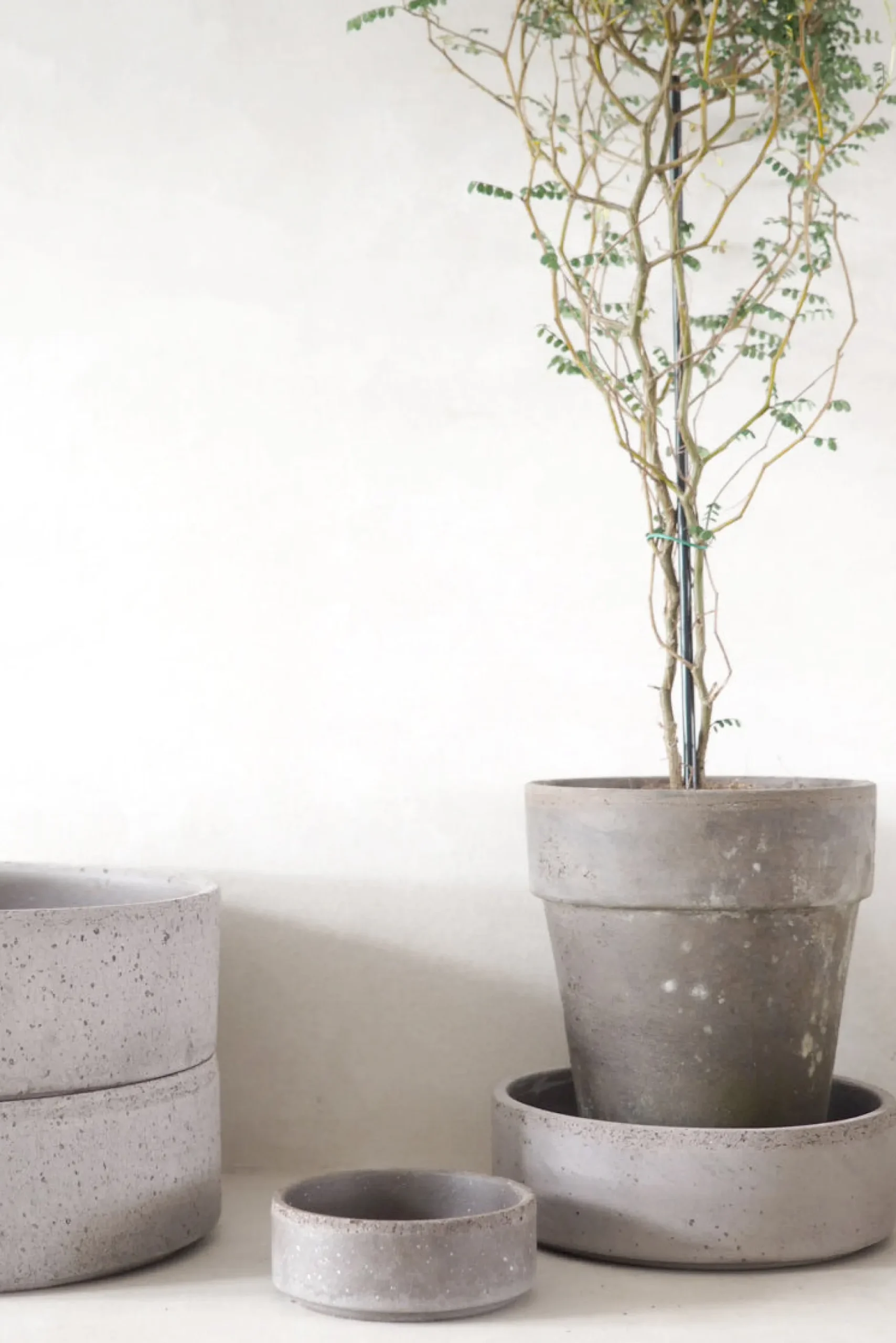 Underskåle|Hoff Krukke Serien^PLANT Hoff underskål, raw grey