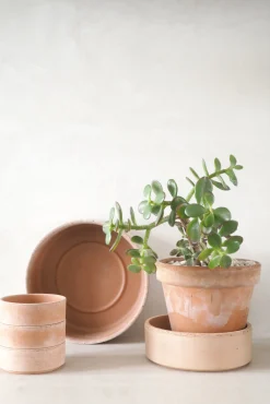 Underskåle|Hoff Krukke Serien^PLANT Hoff underskål, raw rosa