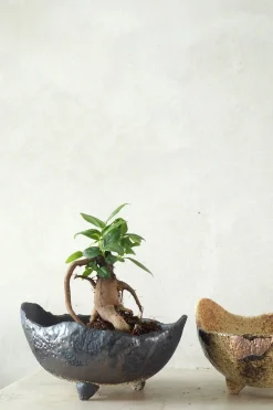 Værktøj Og Redskaber|Bonsai^PLANT Japansk bonsai krukke, håndlavet, brun