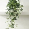 Tropiske Planter|Hængeplanter^PLANT Japanvin