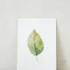 Bøger Og Kort^PLANT Kort - blad no. 3 - 100% genanvendt papir