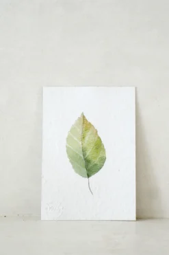 Bøger Og Kort^PLANT Kort - blad no. 3 - 100% genanvendt papir