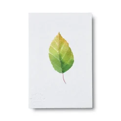 Bøger Og Kort^PLANT Kort - blad no. 3 - 100% genanvendt papir