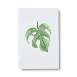 Bøger Og Kort^PLANT Kort - blad no. 2 - 100% genanvendt papir