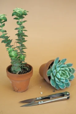 Planter Og Værktøj Til Terrarier|Planter Og Værktøj Til Terrarier^PLANT Mini beskærersaks