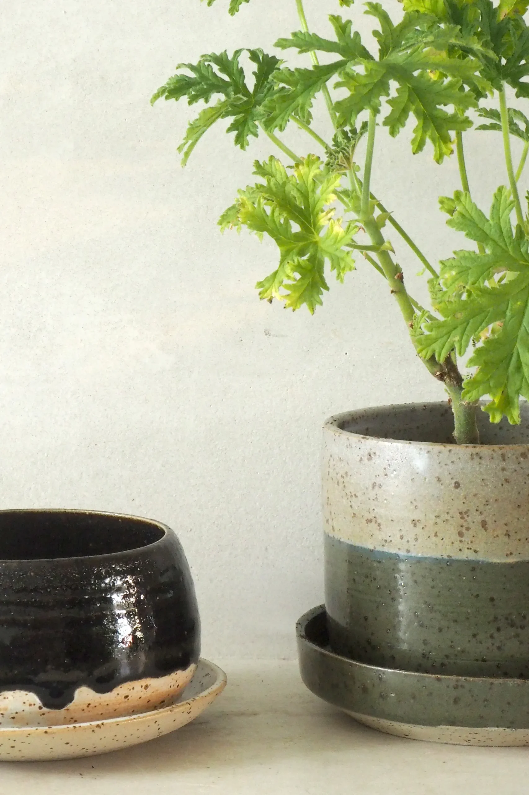 Håndlavede Krukker|Glaserede Krukker^PLANT Nina Frigg medium no. 4