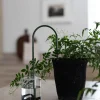 Selvvanding^PLANT Straws, Grøn