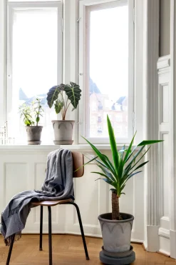Pottefødder Og Filtdutter^PLANT Rolling stones - rulleplade til gulver