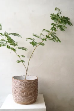 Håndlavede Krukker^PLANT StineMei - Wood brown