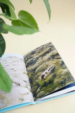 Bøger Og Kort^PLANT Strange s
