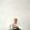 Planter Og Værktøj Til Terrarier|Håndskabte Terrarier^PLANT Terrarie no. 14