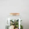 Planter Og Værktøj Til Terrarier|Håndskabte Terrarier^PLANT Terrarie no. 02
