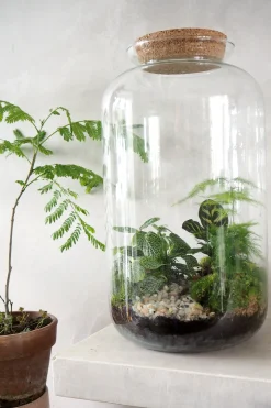 Planter Og Værktøj Til Terrarier|Håndskabte Terrarier^PLANT Terrarie no. 11