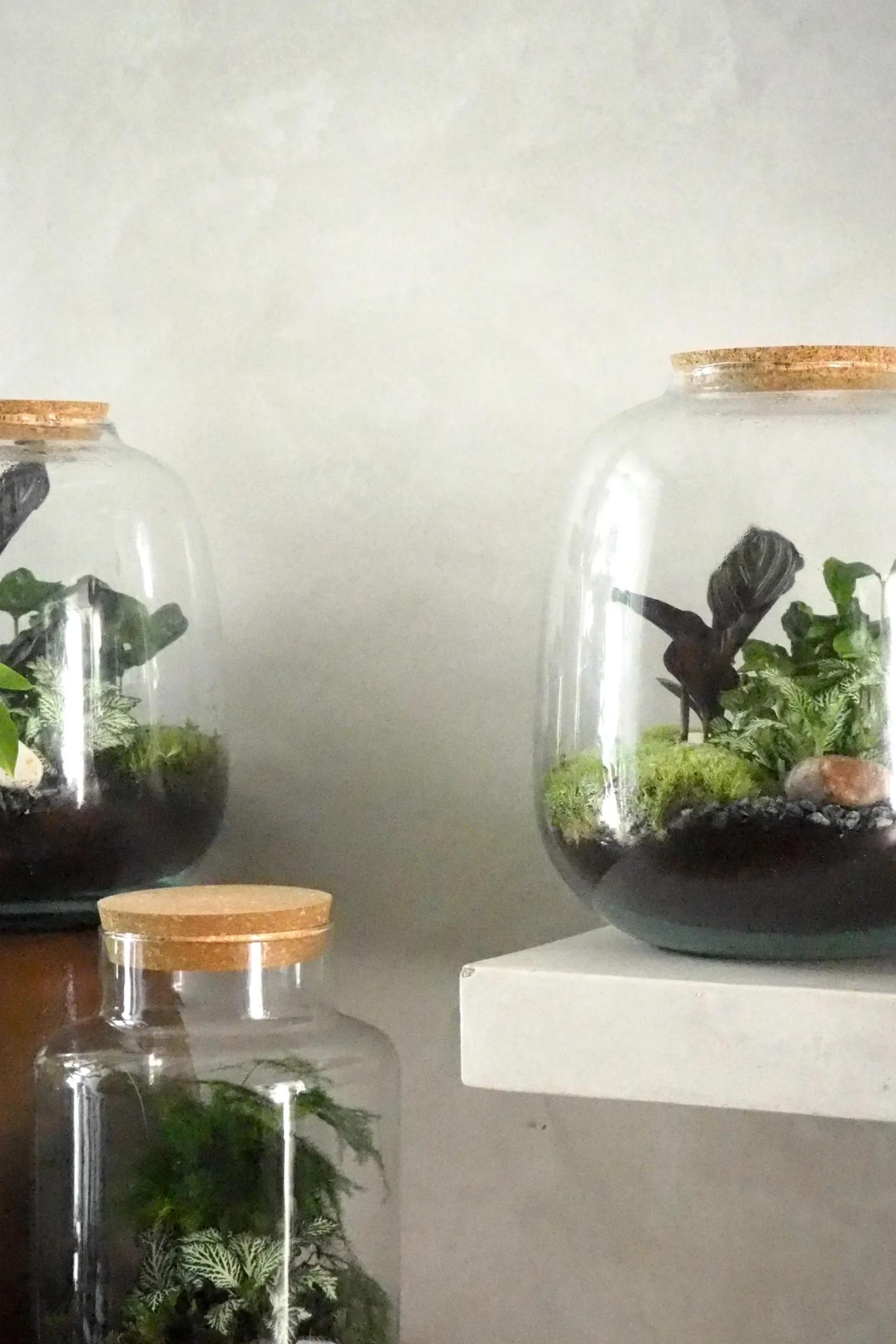 Planter Og Værktøj Til Terrarier|Håndskabte Terrarier^PLANT Terrarie no. 03