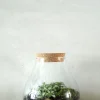 Planter Og Værktøj Til Terrarier|Håndskabte Terrarier^PLANT Terrarie no. 01