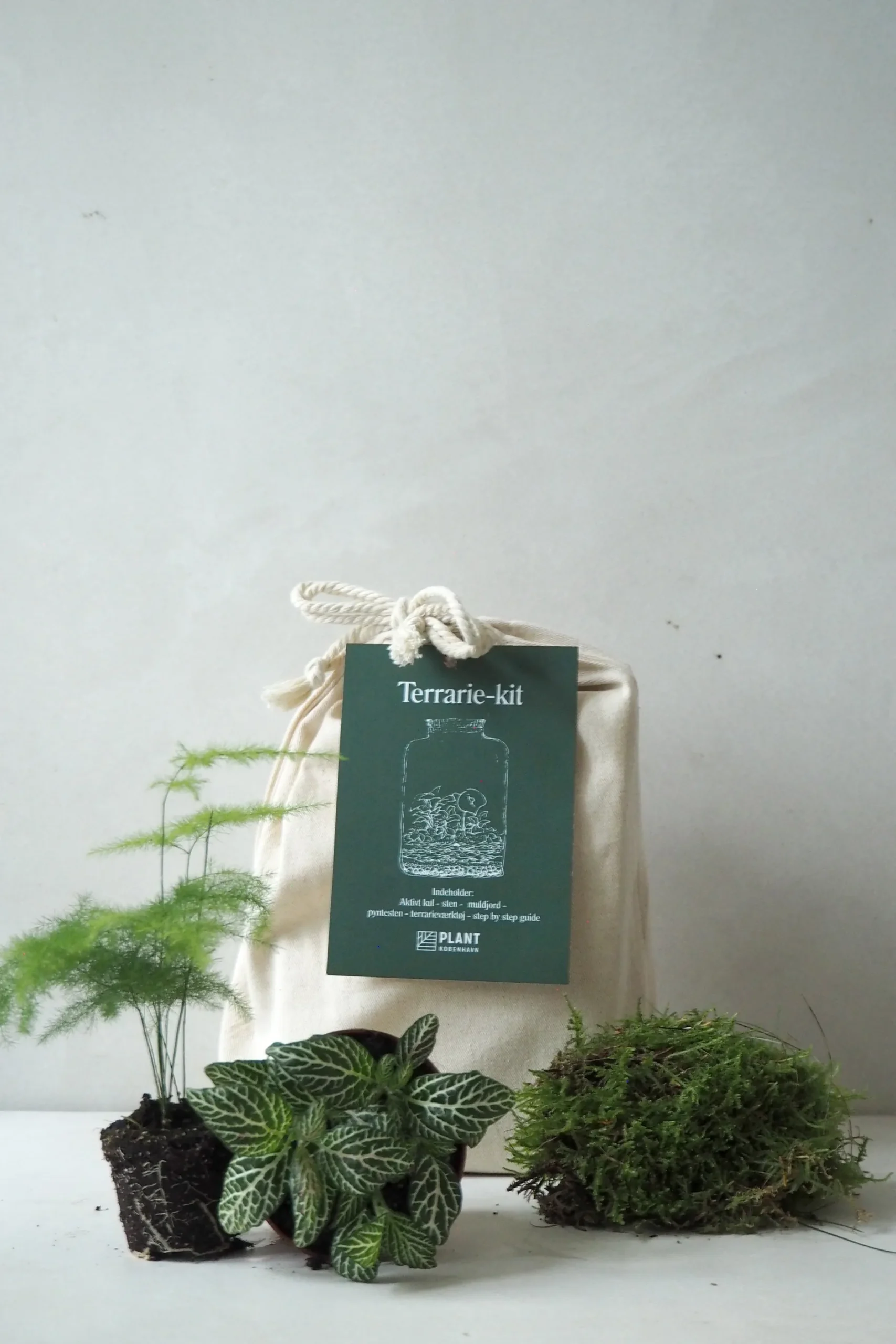 Planter Og Værktøj Til Terrarier|Terrarie Diy Kit^PLANT Terrariekit u. glas