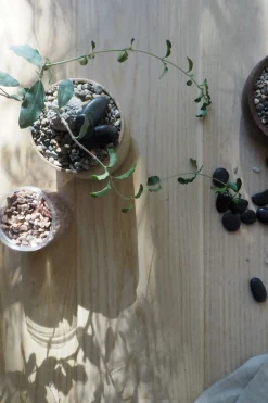 Topping Sten|Jord Og Omplantning^PLANT Topping sten - Sort