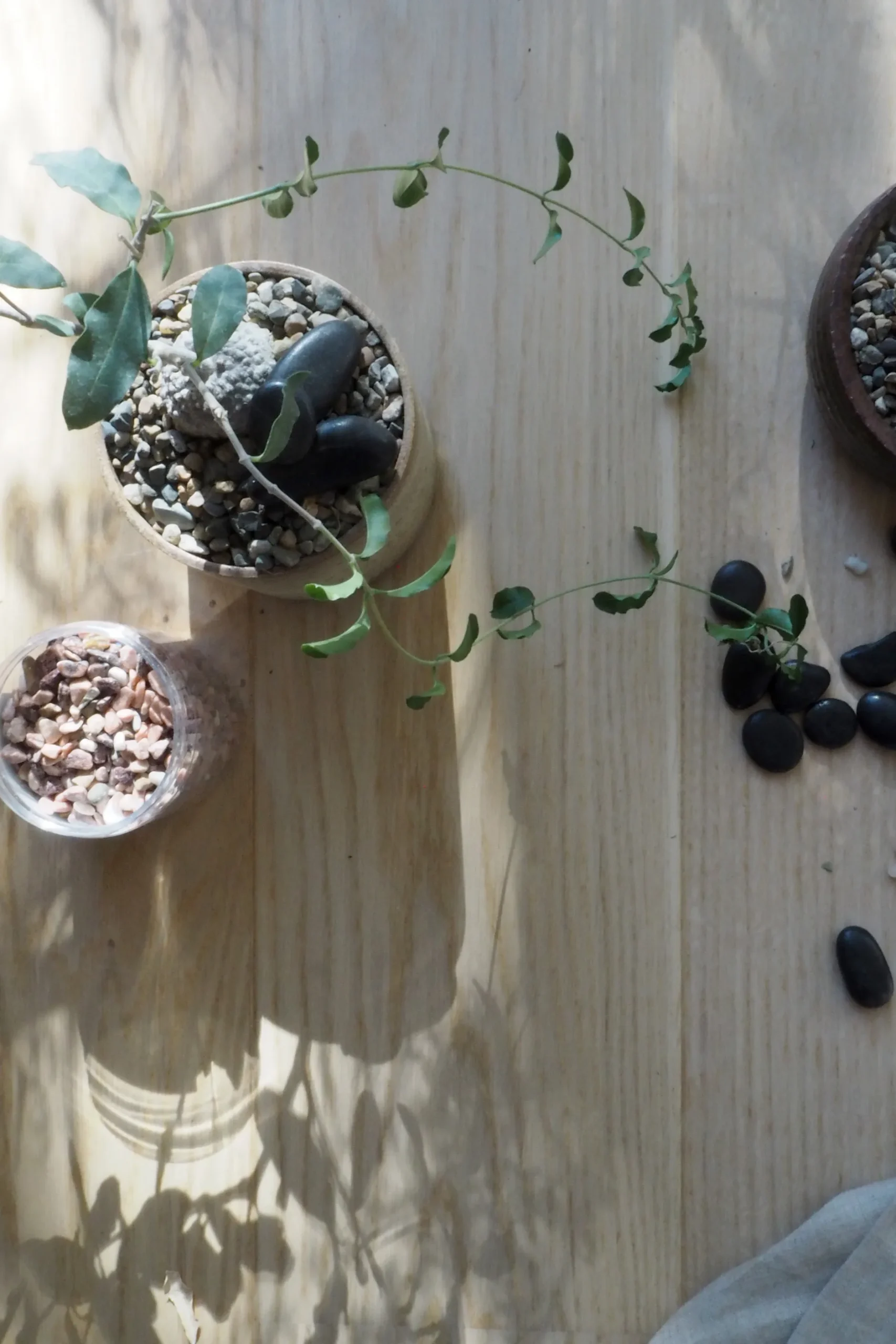 Topping Sten|Jord Og Omplantning^PLANT Topping sten - Sort