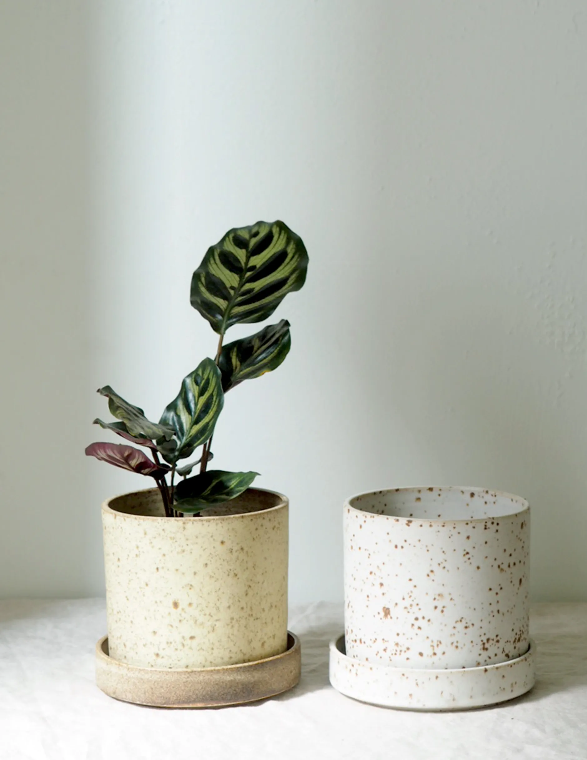 Håndlavede Krukker|Glaserede Krukker^PLANT V.O krukke - hvid, large